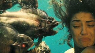 Un clin d'oeil aux "Dents de la mer" dans "Piranha 3D" !