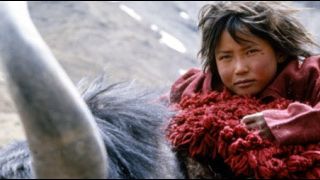 image de la news Envie de passer une semaine en Himalaya ?