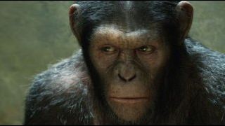 Box-office US : les singes au pouvoir !