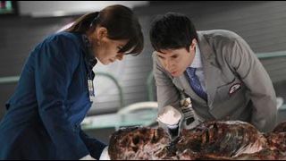 image de la news Audiences : "Bones" se met à table