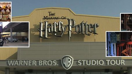 image de la news Le monde de "Harry Potter" s'ouvre aux Moldus !