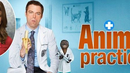 image de la news "Animal Practice" a trouvé son héroïne !