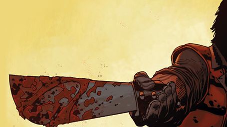 image de la news Un nouveau personnage du comic bientôt dans la série "The Walking Dead"