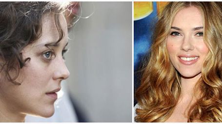 image de la news Cotillard / Johansson : la guerre des "Chefs" aura bien lieu