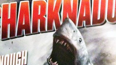 image de la news "Sharknado 2" : les requins volants reviennent faire le buzz !