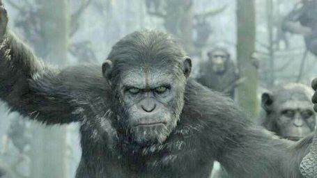 image de la news "La Planète des singes" : première photo de "Dawn of the Planet of the Apes"