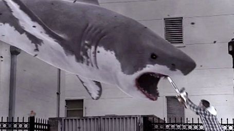 image de la news Des requins, des tornades et un buzz : l'interview "Sharknado"