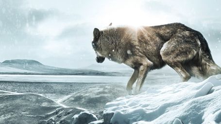 image de la news Wolf Totem : le nouveau film de Jean-Jacques Annaud s'affiche ! 