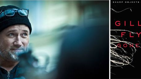 image de la news Une date de sortie US pour "Gone Girl" de David Fincher !
