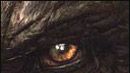 image de la news Enfin une affiche pour King Kong ?