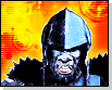 image de la news Les singes sont en retard