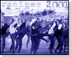 image de la news Racines noires 2001
