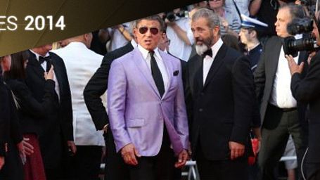 image de la news Cannes 2014 : Stallone, Banderas, Hilary Swank... Tous les tapis rouges du 18 mai