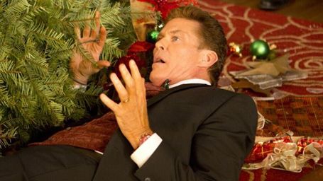 image de la news David Hasselhoff se moque de lui-même dans une nouvelle série, Hoff the Record !