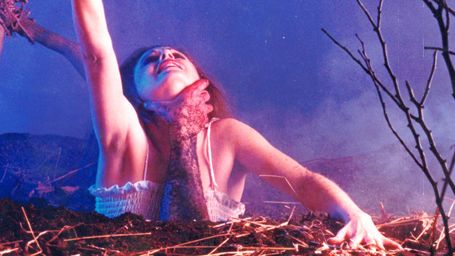 Evil Dead bientôt adapté en série par Sam Raimi ?