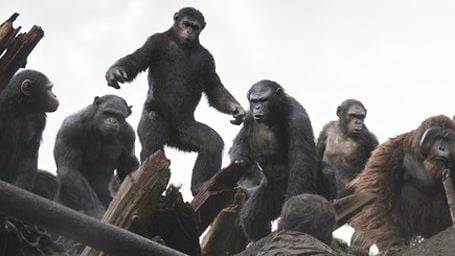 Sorties cinéma : La Planète des singes l'affrontement triomphe dans les premières séances