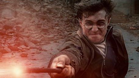 Les Animaux fantastiques : un réalisateur d'Harry Potter aux commandes !