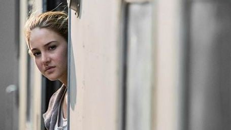 Shailene Woodley : de Divergente à Oliver Stone ?