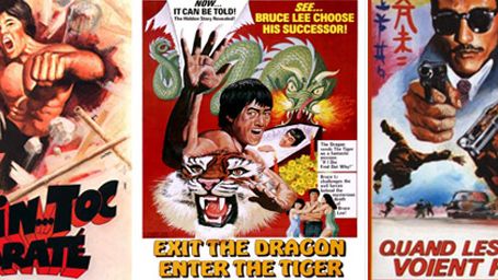 image de la news Le meilleur des pires titres français de films d'arts martiaux
