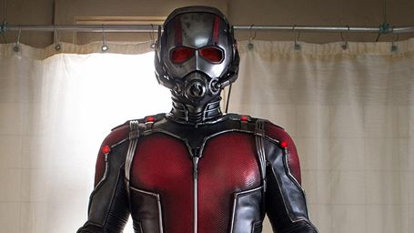 image de la news Ant-Man 2 est confirmé par Marvel et a désormais un titre...