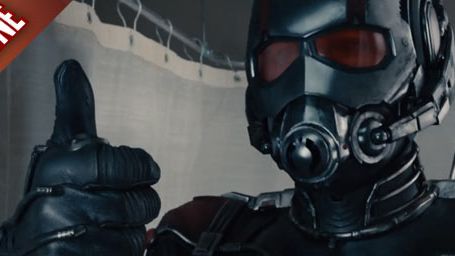 image de la news FanZone 477 : Marvel bouleverse sa Phase 3 pour Ant-Man 2