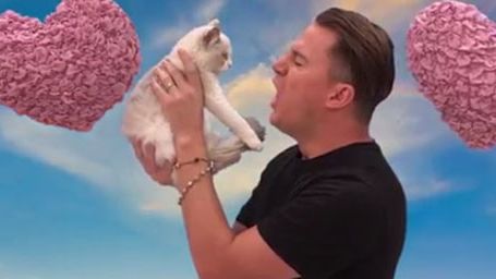 image de la news Channing Tatum dit "Huit Saloperies" à un chaton