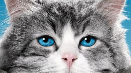 image de la news Nouvelle bande-annonce Ma vie de chat : Kevin Spacey dans la peau d'un félin casse-cou !