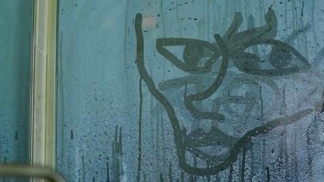 image de la news Michel Gondry imagine un nouveau clip pour les White Stripes