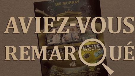 image de la news Aviez-vous remarqué ? Les petits détails cachés de La Vie Aquatique