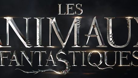 image de la news Les Animaux fantastiques : quels titres pour les suites ?