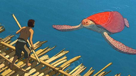 image de la news La Tortue rouge reçoit le Coup de Chapeau 2016 du Club Média Ciné