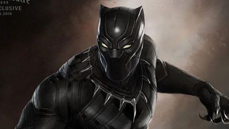 image de la news Black Panther : une énorme cascade du film révélée