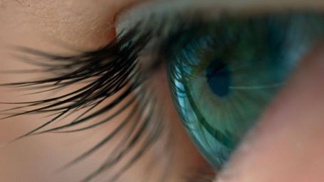 image de la news Voyage of Time de Terrence Malick sera projeté en séance unique