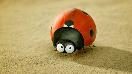 image de la news Minuscule : début de production pour la suite !