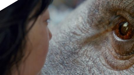 image de la news Cannes 2017 : Tilda Swinton en mode Cruella dans la bande-annonce d'Okja