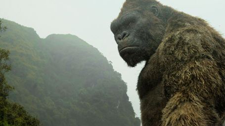 Godzilla vs Kong : un réalisateur pour la rencontre au sommet !