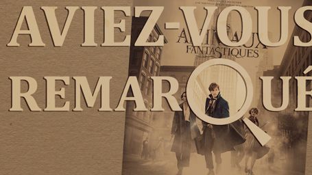 image de la news Aviez-vous remarqué ? Les petits détails cachés des Animaux Fantastiques