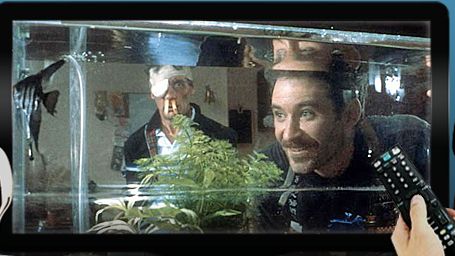 image de la news Dimanche soir à la télé : on mate "Un Poisson nommé Wanda" et "Le premier jour du reste de ta vie"