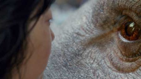 image de la news Okja sur Netflix : C'est quoi ce film ? 