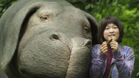 image de la news Okja : 5 bonnes raisons de découvrir le film sur Netflix 
