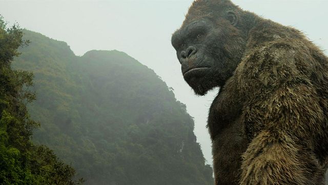 Godzilla vs Kong : comment évoluera le singe géant ? Le réalisateur lève le voile