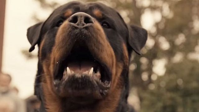 image de la news Castle Rock : Tous les indices cachés dans la bande-annonce de la série