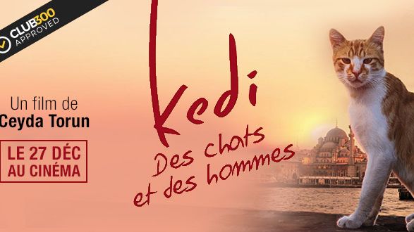 image de la news "Kedi - Des chats et des hommes" remporte le label Club 300 Approved !