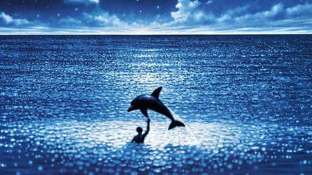 image de la news Le Grand Bleu fête ses 30 ans avec un ciné-concert [SPONSORISÉ]