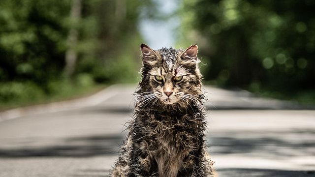 image de la news Une nouvelle adaptation de Stephen King, les retours de James Caan et Clint Eastwood... Les bandes-annonces à ne pas rater