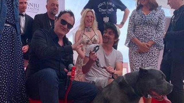 image de la news Tarantino : la Palm Dog pour le chien de Once Upon a Time in Hollywood à Cannes
