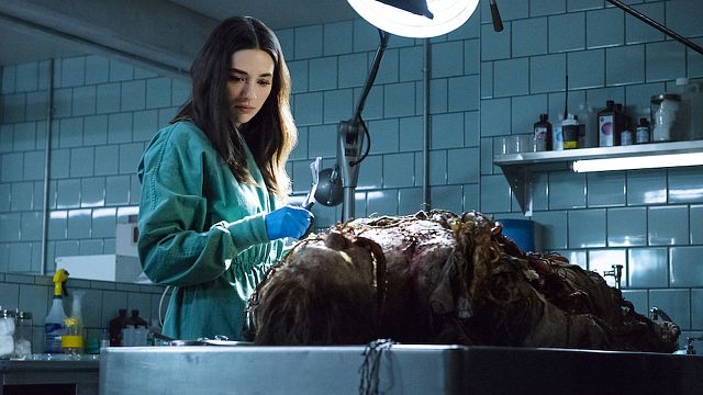 image de la news Swamp Thing : que vaut la série horrifique DC Comics adaptée de La Créature du marais ?
