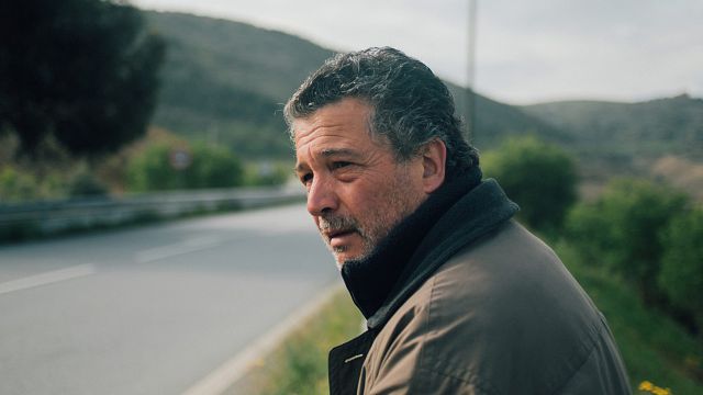 image de la news Sorties cinéma : 11 fois Fátima, Lune de Miel, Un havre de paix... Les films de la semaine