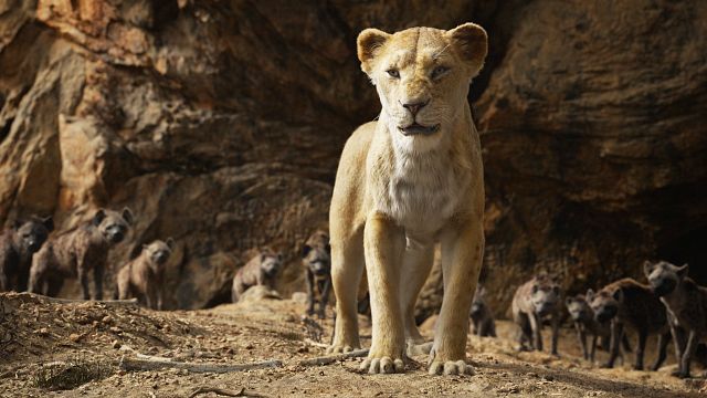 image de la news Sorties cinéma : Le Roi Lion, Wild Rose, Le Coup du siècle... Les films de la semaine