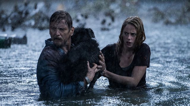 image de la news Crawl : la fin aurait pu être beaucoup plus sombre selon Alexandre Aja